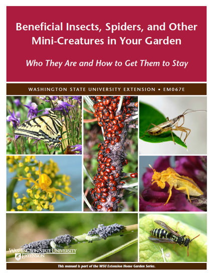 WSU Extension Publications|Beneficial Insects, Spiders, and Mites in Your  Garden: Who they are and how to get them to stay (Home Garden Series)