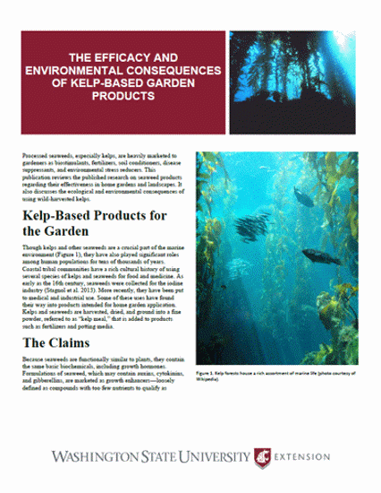 Picture of The Efficacy and Environmental Consequences of Kelp-Based Garden Products
