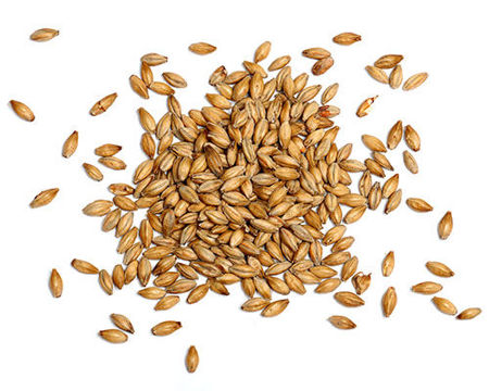 Picture for category Small Grains