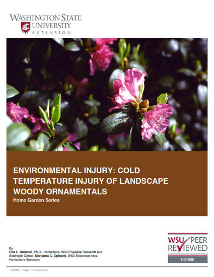 Imagen de Environmental Injury: Cold Temperature Injury of Landscape Woody Ornamentals (Home Garden Series)