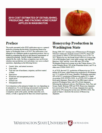 Imagen de 2019 Cost Estimates of Establishing, Producing, and Packing Honeycrisp Apples in Washington State