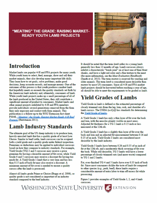 Imagen de "Meating" the Grade: Raising Market-Ready Youth Lamb Projects