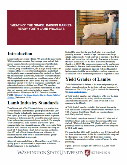 Picture of "Meating" the Grade: Raising Market-Ready Youth Lamb Projects