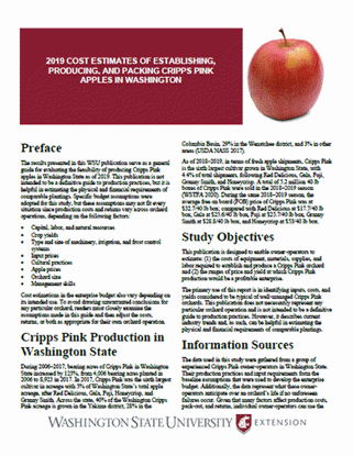 Imagen de 2019 Cost Estimates of Establishing, Producing, and Packing Cripps Pink Apples in Washington