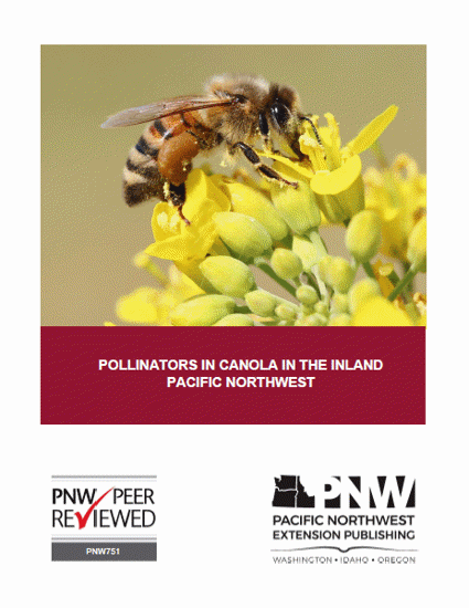 Imagen de Pollinators in Canola in the Inland Pacific Northwest
