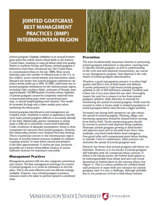 Imagen de Jointed Goatgrass: Best Management Practices (BMP) Intermountain Region