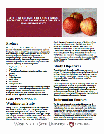 Imagen de Cost Estimates of Establishing, Producing and Packing Gala Apples in Washington