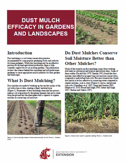 Picture of Dust mulch efficacy in gardens and landscapes (Home Garden Series)
