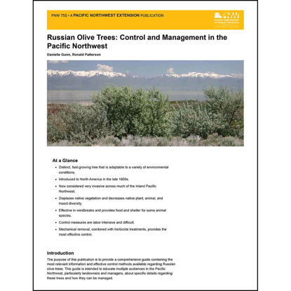Imagen de Russian Olive Trees: Control and Management in the Pacific Northwest