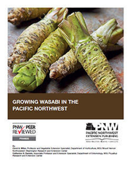 Imagen de Growing Wasabi in the Pacific Northwest