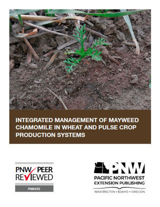 Imagen de Integrated Management of Mayweed Chamomile in Wheat and Pulse Crop Production Systems