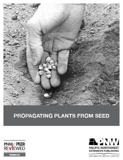 Imagen de Propagating Plants from Seed