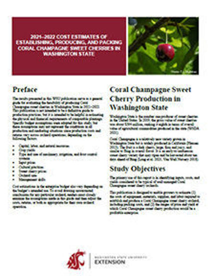 Imagen de 2021-2022 Cost Estimates of Establishing, Producing, and Packing Coral Champagne Sweet Cherries in Washington State
