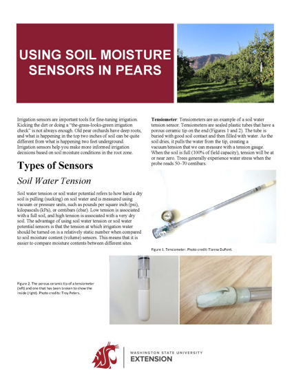 Imagen de Using Soil Moisture Sensors in Pears