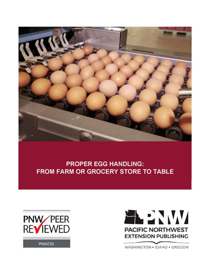 Imagen de Proper Egg Handling: From Farm or Grocery Store to Table