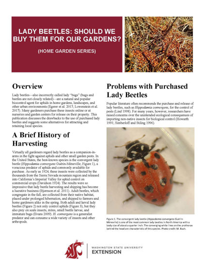 Imagen de Lady Beetles: Should We Buy Them for Our Gardens? (Home Garden Series)
