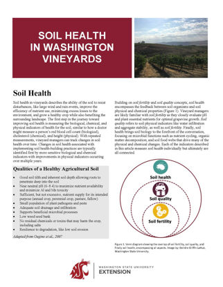Imagen de Soil Health in Washington Vineyards