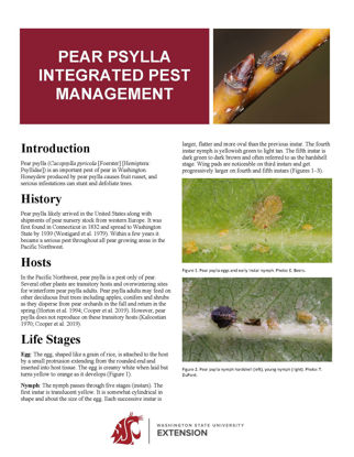 Imagen de Pear Psylla Integrated Pest Management