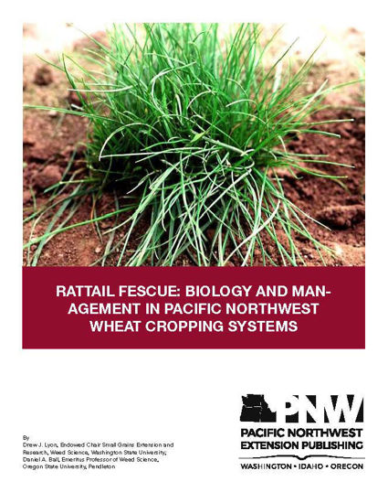 Picture of Rattail Fescue: Biology and Management in Pacific Northwest Wheat Cropping Systems