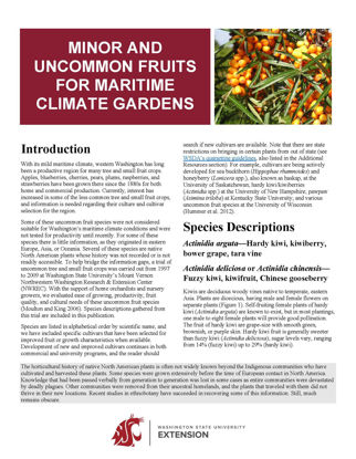 Picture of Minor and Uncommon Fruits for Maritime Climate Gardens