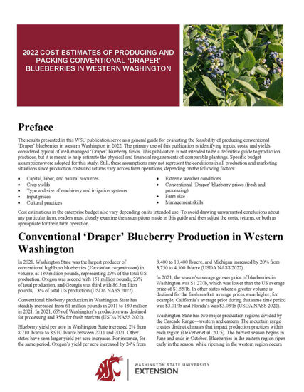 Picture of 2022 Cost Estimates of Producing and Packing Conventional 'Draper' Blueberries in Western Washington