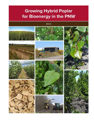 Imagen de Growing Hybrid Poplar for Bioenergy in the PNW
