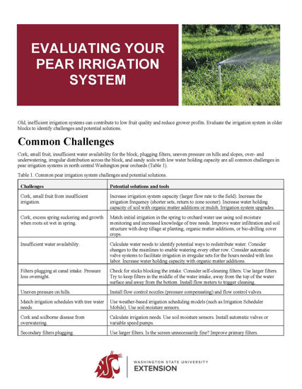 Picture of Evaluating Your Pear Irrigation System