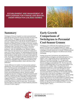 Picture of Establishment and Management of Switchgrass for Forage and Biofuel under Irrigation (Oilseed Series)