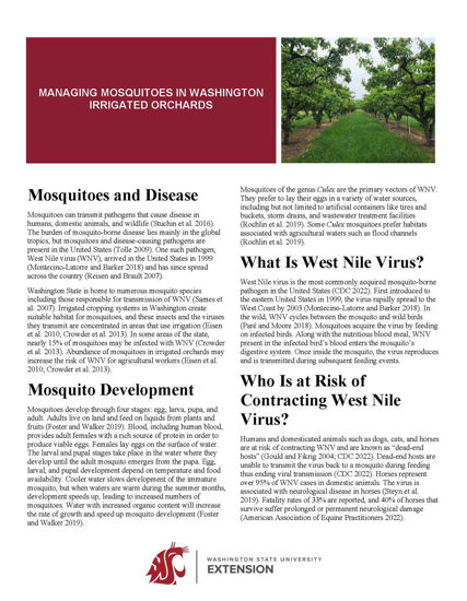 Picture of Managing Mosquitoes in Washington Irrigated Orchards