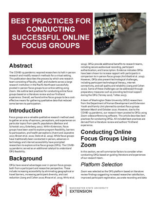 Picture of Best Practices for Conducting Successful Online Focus Groups