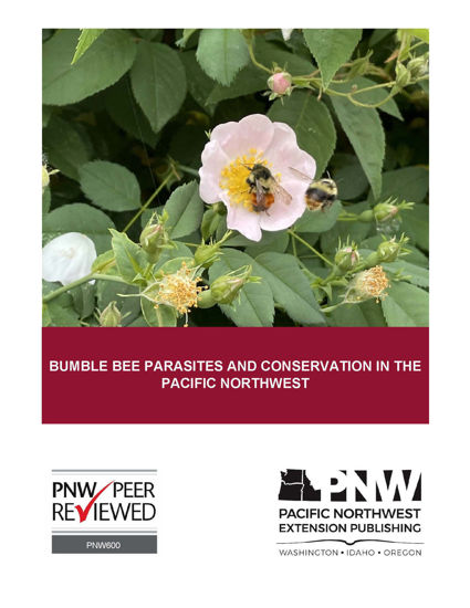 Picture of Bumble Bee Parasites and Conservation in the Pacific Northwest