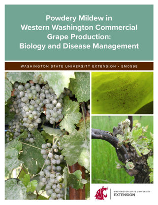 Picture of Powdery Mildew in Western Washington Commercial Grape Production: Biology and Disease Management