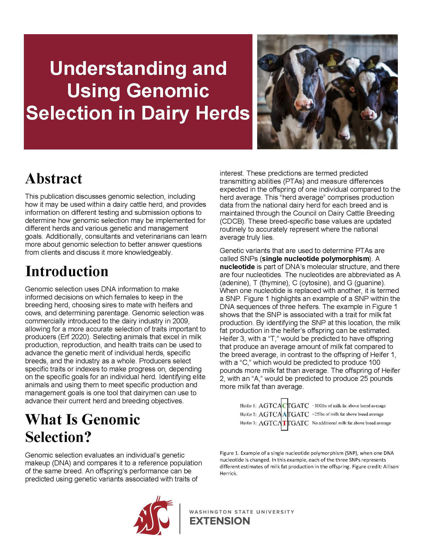 Picture of Understanding and Using Genomic Selection in Dairy Herds