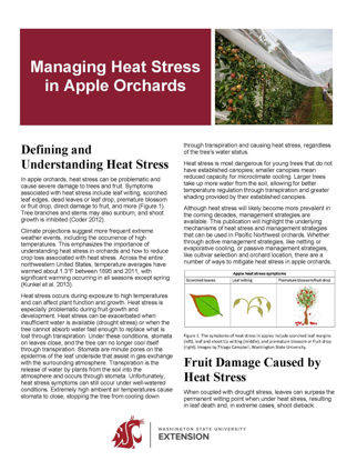 Picture of Managing Heat Stress in Apple Orchards