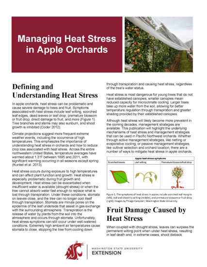 WSU Extension Publications|Managing Heat Stress in Apple Orchards