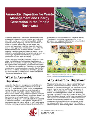 Picture of Anaerobic Digestion for Waste Management and Energy Generation in the Pacific Northwest