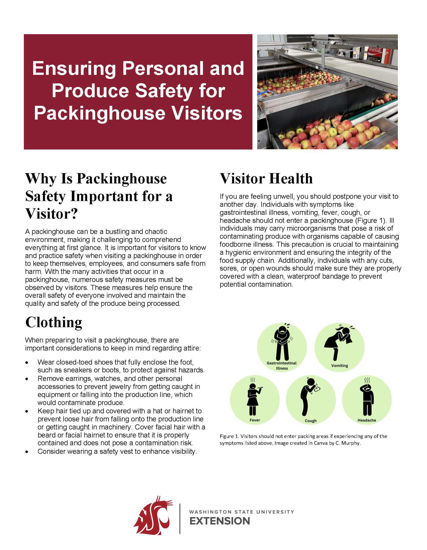 Picture of Ensuring Personal and Produce Safety for Packinghouse Visitors