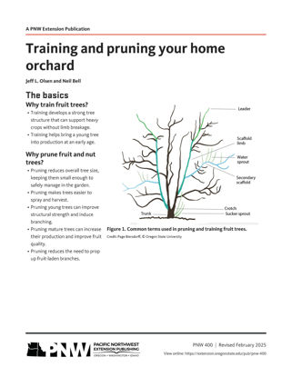 Picture of Training and Pruning Your Home Orchard