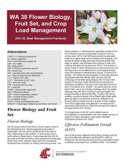 Imagen de WA 38 Flower Biology, Fruit Set and Crop Load Management