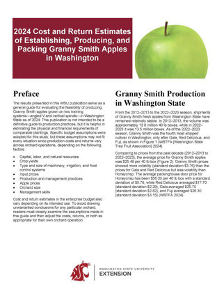 Picture of 2024 Cost Estimates of Establishing, Producing, and Packing Granny Smith Apples in Washington